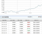 000697基金今天净值,投资亮点与风险预警