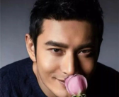 黄晓明吃瓜娱乐圈全集,从争议到转型，揭秘明星背后的故事
