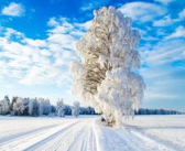 雪景图片,冰雪世界的美妙画卷