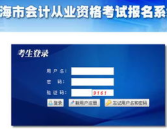 上海会计从业资格考试报名入口,上海会计从业资格考试报名入口全解析