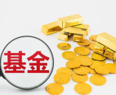 519993基金,稳健投资策略与市场表现解析