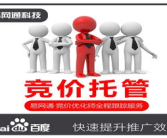 推广竞价外包,专业推广竞价外包，助力企业腾飞