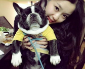 小宠物狗的品种及图片,可爱萌犬图鉴与性格特点解析